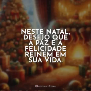 Neste Natal, desejo que a paz e a felicidade reinem em sua vida.