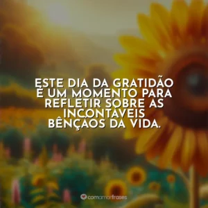 Este Dia da Gratidão é um momento para refletir sobre as incontáveis bênçãos da vida.