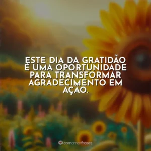 Este Dia da Gratidão é uma oportunidade para transformar agradecimento em ação.