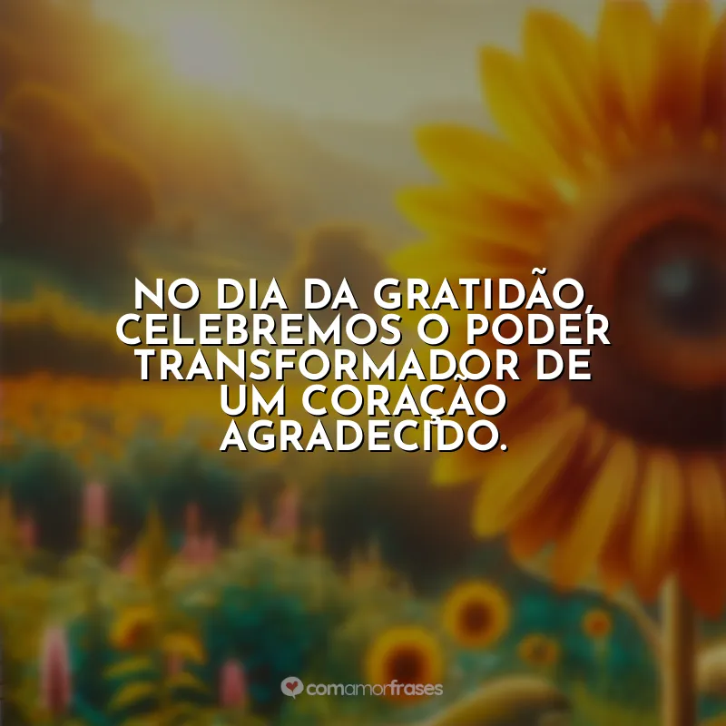 Frases do Dia da Gratidão: No Dia da Gratidão, celebremos o poder transformador de um coração agradecido.