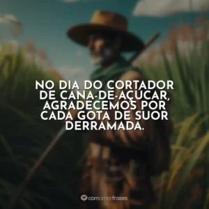 No Dia do Cortador de Cana-de-Açúcar, agradecemos por cada gota de suor derramada.
