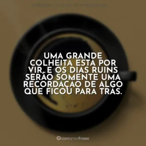 Uma grande colheita está por vir, e os dias ruins serão somente uma recordação de algo que ficou para trás. Café com Deus Pai