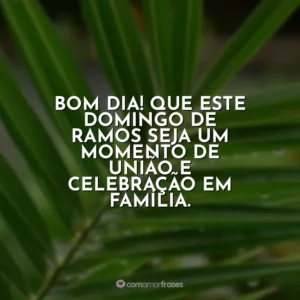 Bom dia! Que este Domingo de Ramos seja um momento de união e celebração em família. Domingo de Ramos