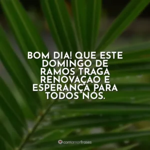 Bom dia! Que este Domingo de Ramos traga renovação e esperança para todos nós. Domingo de Ramos