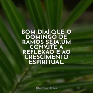 Bom dia! Que o Domingo de Ramos seja um convite à reflexão e ao crescimento espiritual. Domingo de Ramos