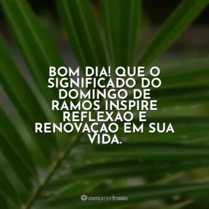 Bom dia! Que o significado do Domingo de Ramos inspire reflexão e renovação em sua vida. Domingo de Ramos