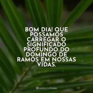 Bom dia! Que possamos carregar o significado profundo do Domingo de Ramos em nossas vidas. Domingo de Ramos