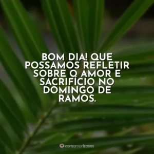 Bom dia! Que possamos refletir sobre o amor e sacrifício no Domingo de Ramos. Domingo de Ramos