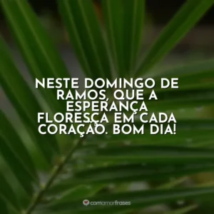 Neste Domingo de Ramos, que a esperança floresça em cada coração. Bom dia! Domingo de Ramos