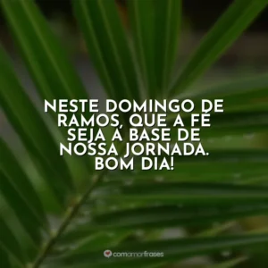 Neste Domingo de Ramos, que a fé seja a base de nossa jornada. Bom dia! Domingo de Ramos