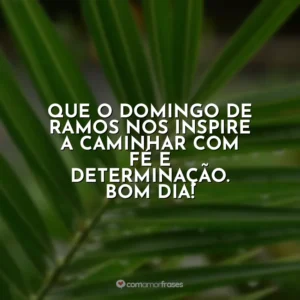 Que o Domingo de Ramos nos inspire a caminhar com fé e determinação. Bom dia! Domingo de Ramos